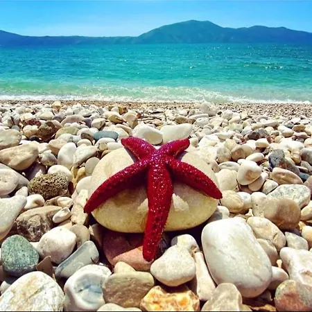 Mario 1 - Vlore